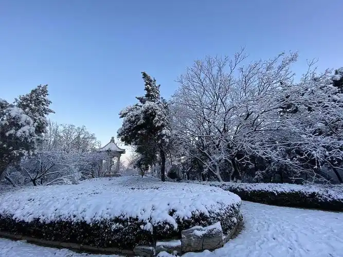 今年济南下雪的时候还没有新冠,我们还在快乐的玩.
