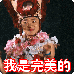 我是完美的表情包