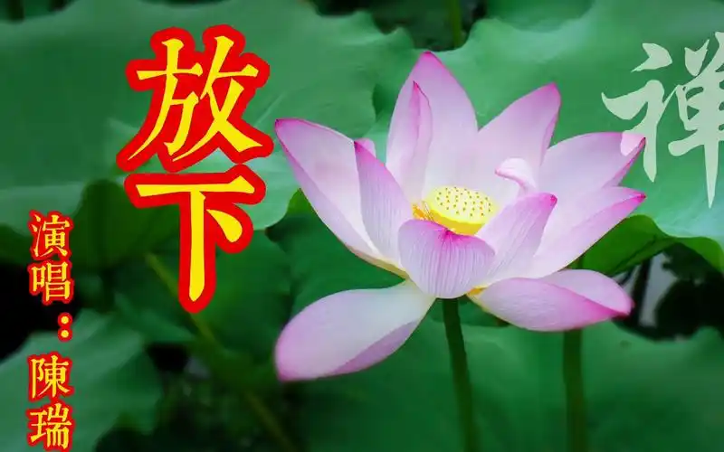 陈瑞演唱《放下》充满磁性的嗓音,伤感好听,让人心醉