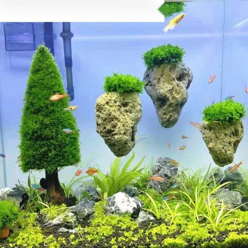 乐优派浮石鱼缸造景装饰摆件石头莫斯水草植物悬浮石水族布景轻石