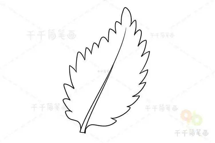 榆树叶子简笔画步骤图