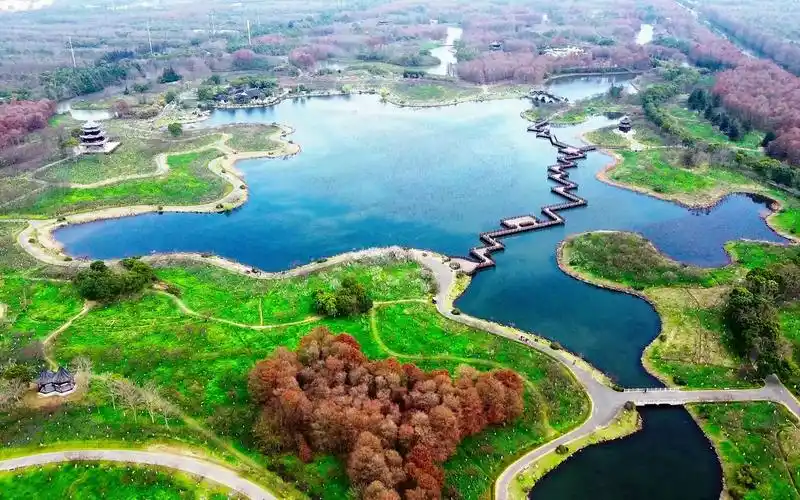 【4k】大疆航拍-上海海湾国家森林公园_mini2se