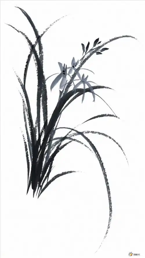 水墨国画花卉高清图片【87张】