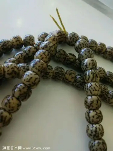 血丝菩提盘久后的图片一年的变化