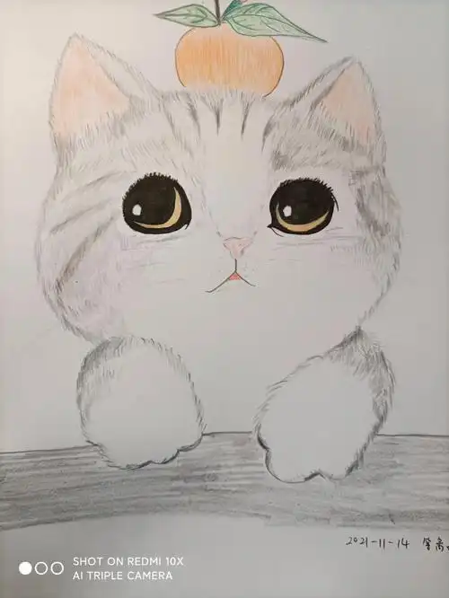 小猫咪简笔画