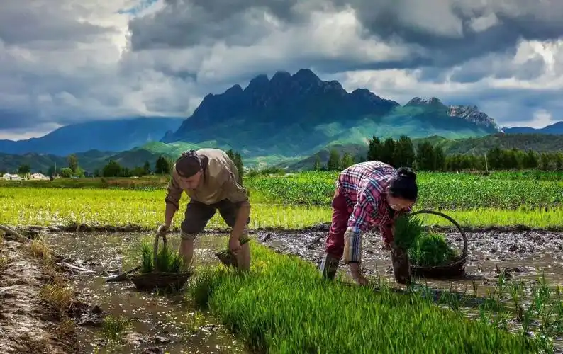 劳动创造美好生活