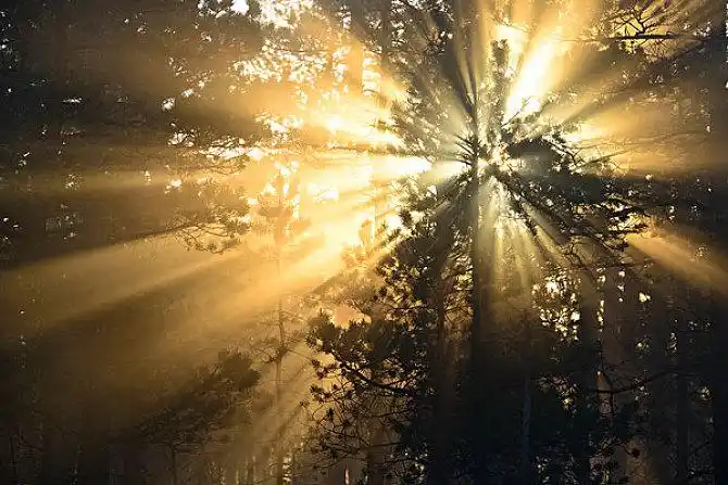 太阳光线图片_全景网