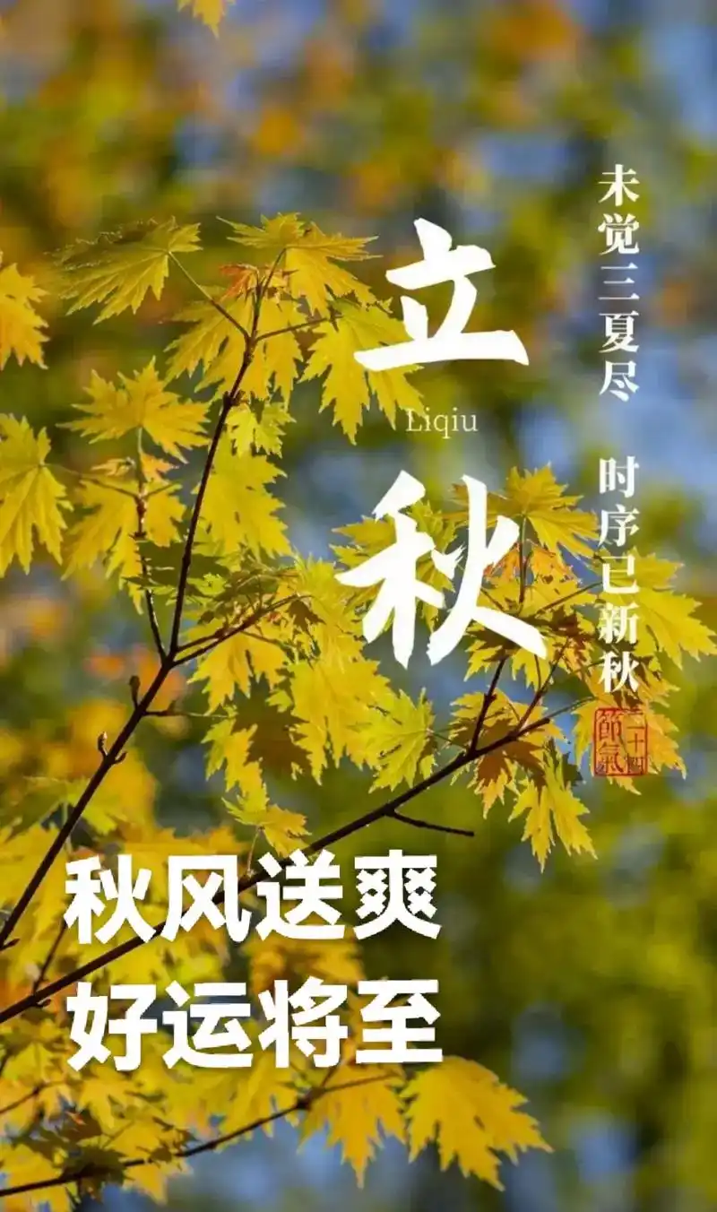 一叶知秋秋意浓 #立秋了照顾好自己 #今天迎来立秋节气 - 抖音