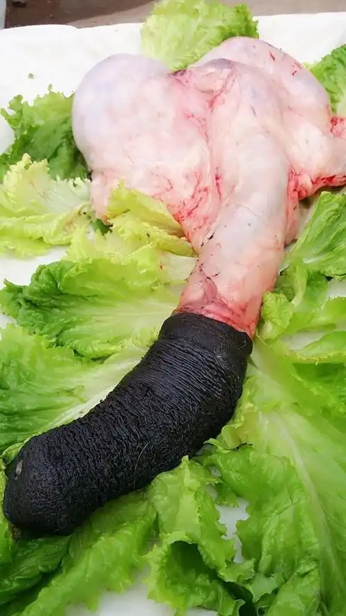 赛卡伊新鲜驴鞭1000克驴三件驴肉小毛驴整套驴鞭带宝精修无油发货