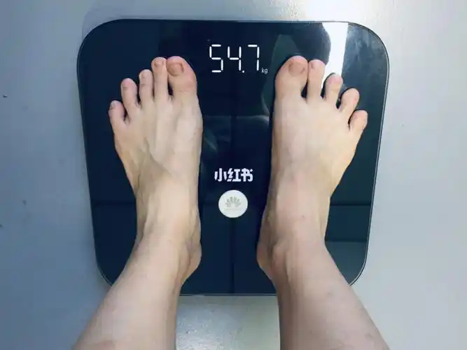 22今日份体重547kg