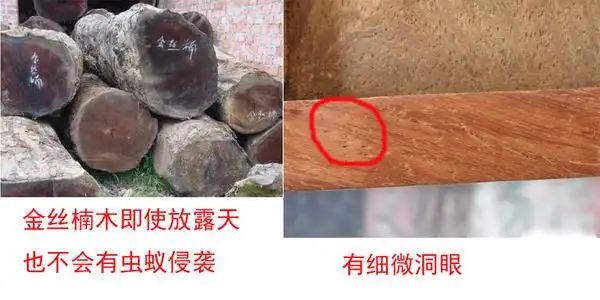 六招教你怎样辨别真假金丝楠木的窍门