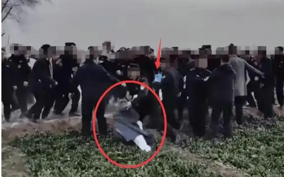 原创校园恶魔肆虐法律岂能轻判河北三名中学生杀人埋尸案震惊全国