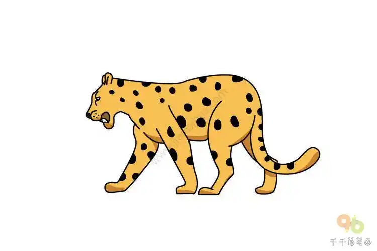 觅食的豹子简笔画陆地动物简笔画