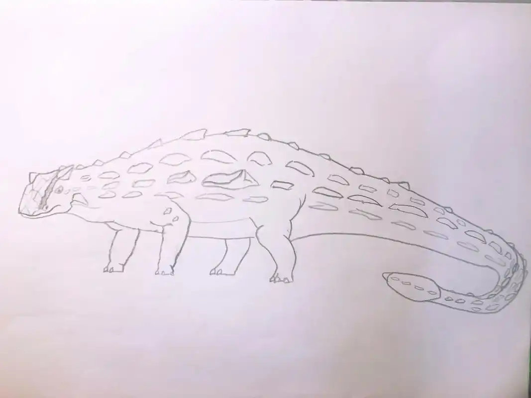 恐龙简笔画:甲龙