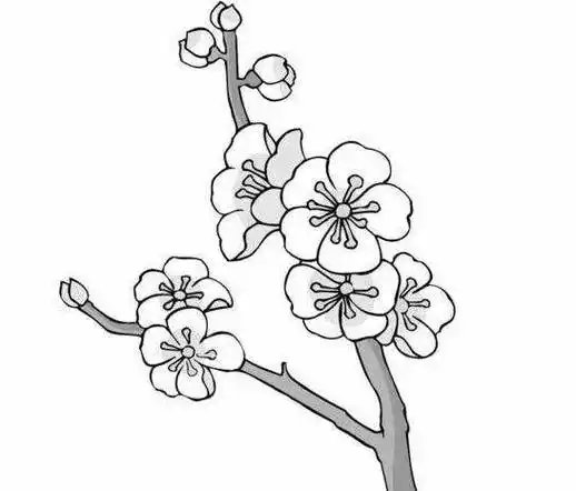 桃花简笔画图片桃花怎么画_桃花简笔画画法步骤教程春天的桃花简笔画