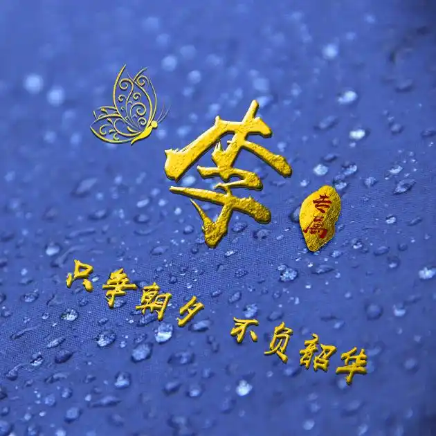 编号b02932张百家姓微信头像励志专属只争朝夕不负韶华