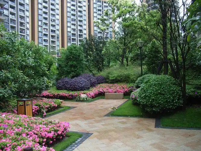 "guang lan"的博客