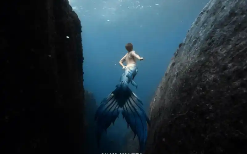 比美人鱼更神秘的是美男鱼