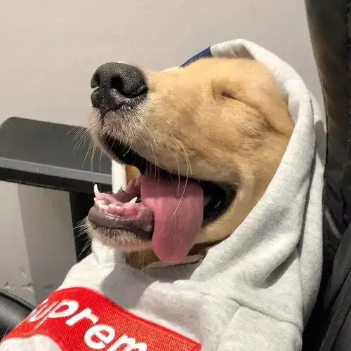 有没有高级酷帅的男生头像 - 知乎