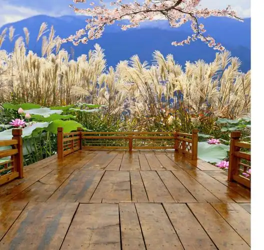 儿童背景布拍照摄影背景布摄影布婚纱背景布电动轴背景主播快手31