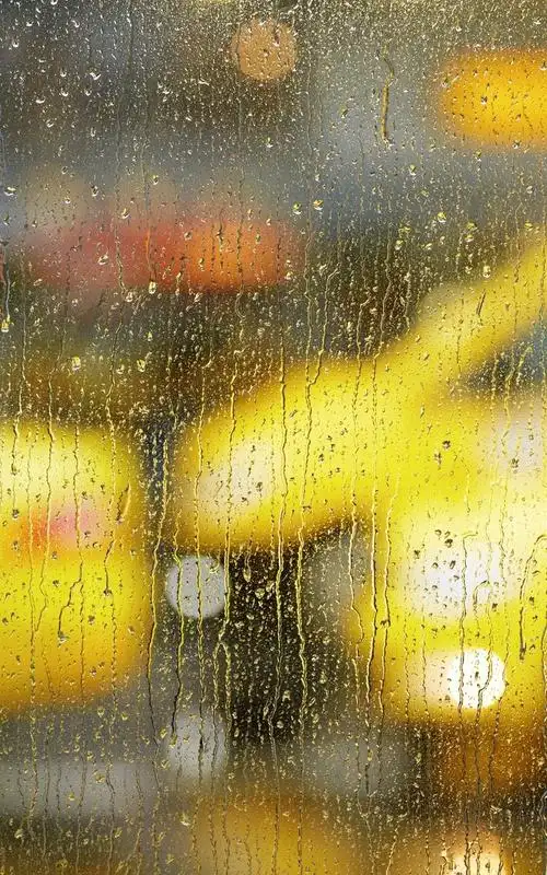 唯美的雨天