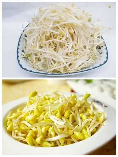 绿豆芽0.89元/斤,黄豆芽0.79元/斤