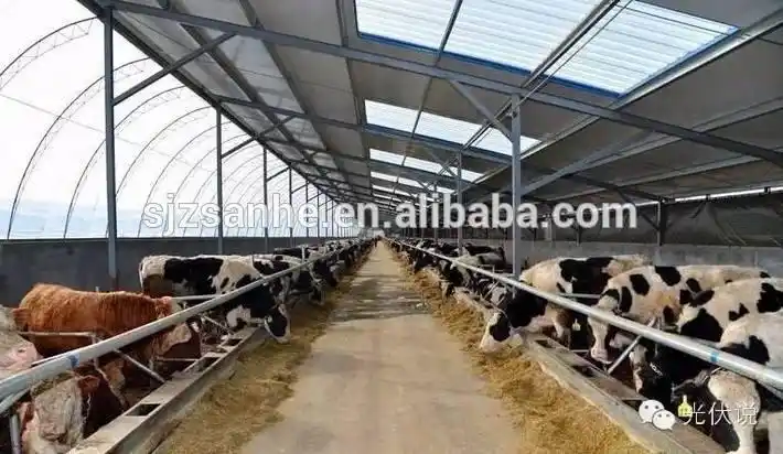 低成本的牲畜收容所奶牛场棚用于活牛和羊棚
