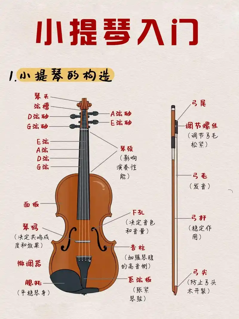 一步带你入门小提琴.▉ 本期笔记带大家 - 抖音