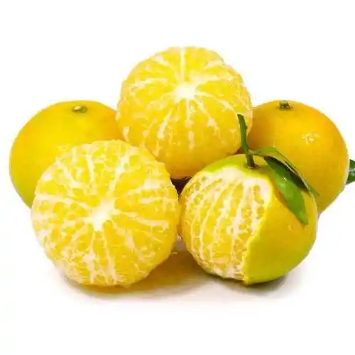 正宗德庆皇帝柑贡柑桔子橘子现摘现发新鲜水果批发10斤5斤3斤批发