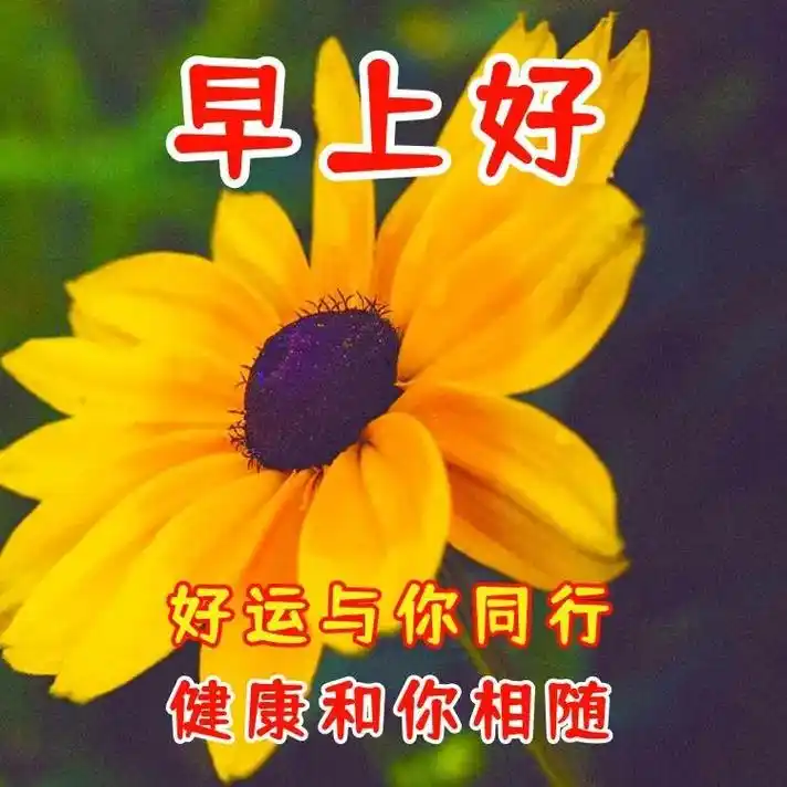 漂亮的早上好祝福表情图看到心情好#喜欢的就收藏  有人说喜 - 抖音
