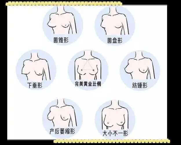 女生最标准的胸型是什么样看完我酸了
