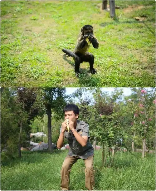 呆萌又好笑,保育员模仿动物竟然是这种画风?