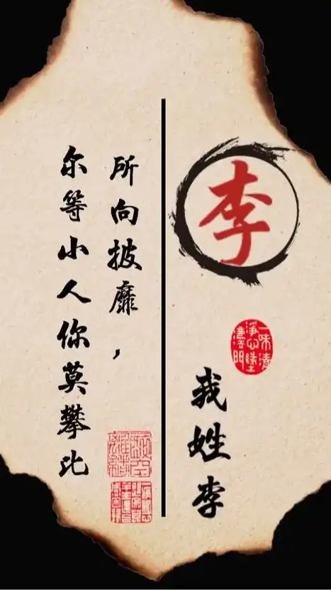 我姓李,志存千里,宁负天下我不负你.我姓李,所向披靡,尔等小 - 抖音