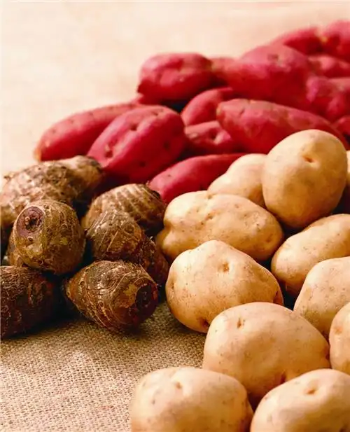 适合冬季的6种根茎蔬菜冬天根茎蔬菜有哪些