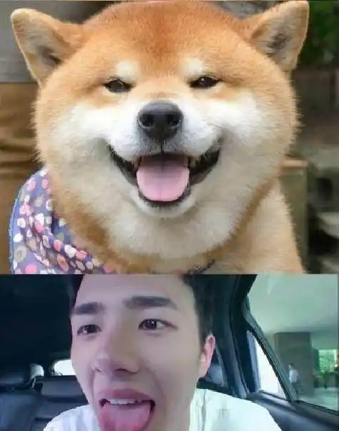 刘昊然要找小h打一架?莫非虎牙哥哥跟向往的生活是有约?