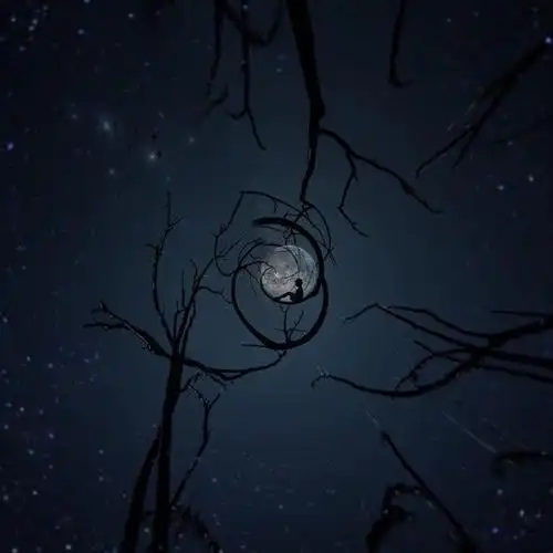 美国主妇拍出一组魔幻照片