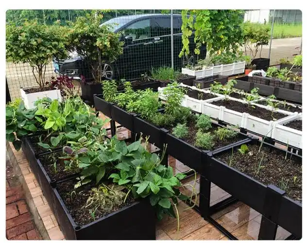 种植盆种菜的箱子种植箱阳台种菜神器带轮黑50长方形屋顶楼顶种菜箱