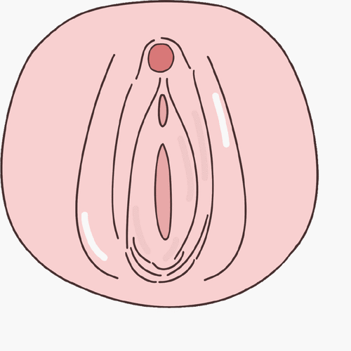 阴道紧致,提升7573外阴饱满家庭政审过关成分有料靠谱功效安全可