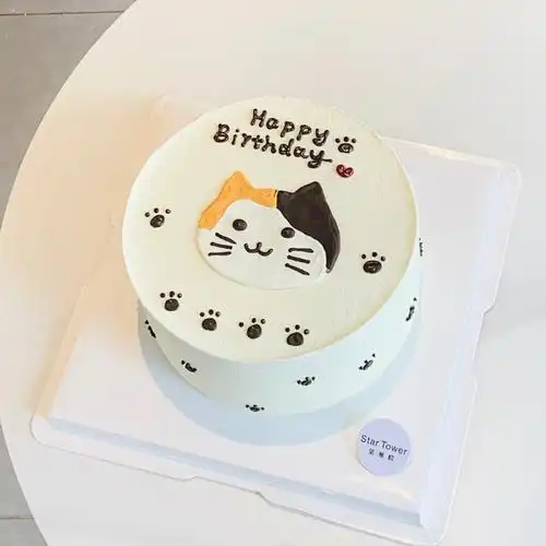 手绘猫咪蛋糕极简又温馨