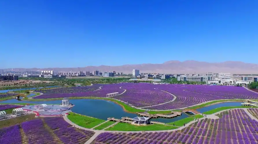 金昌旅游必去的5个景点