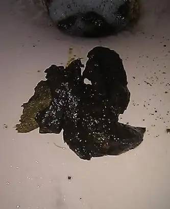 冬天手脚冰凉怎么回事男性