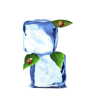 凉爽素材图片大全