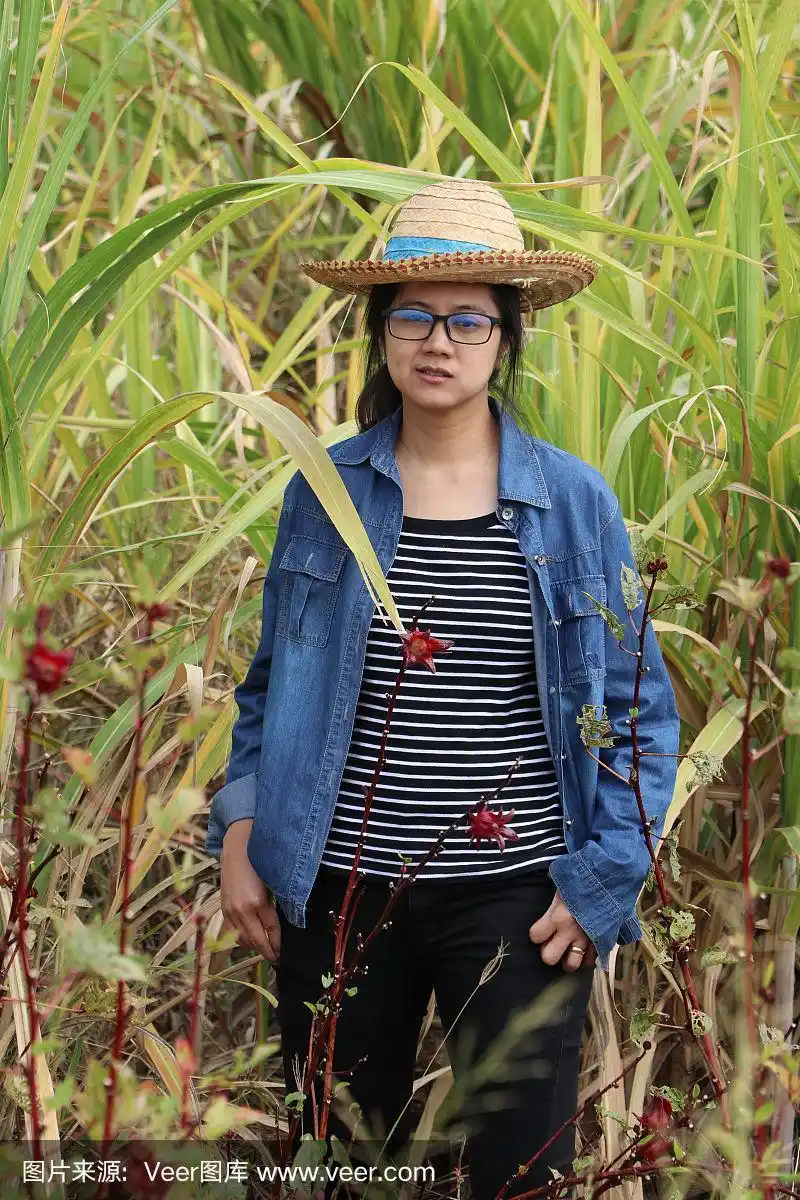 农妇站在甘蔗农场,戴着草帽和长袖牛仔衬衫.