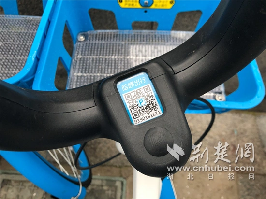 2020年哈啰单车将陆续置换老旧车 高效服务绿色出行