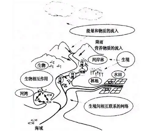 简笔画生态系统