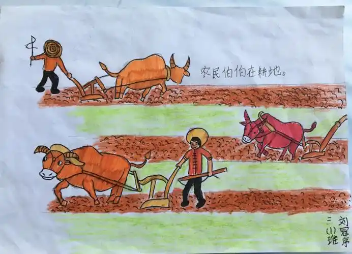 西工大附小融侨分校——三,四年级科学学科活动之绘本《盘中餐》