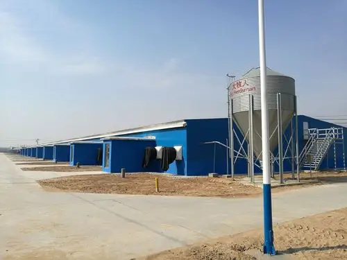 写美篇历经多年,夏津新希望六和35万头聚落群最后一个父母代母猪场