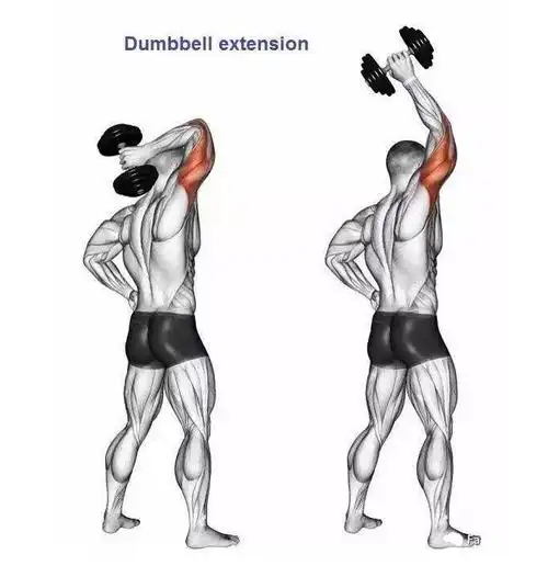 15个强悍的小臂肌肉训练动作,让小臂肌肉看起来有型!