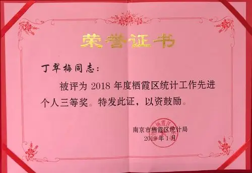 局丁翠梅喜获"栖霞区统计工作先进个人" 荣誉称