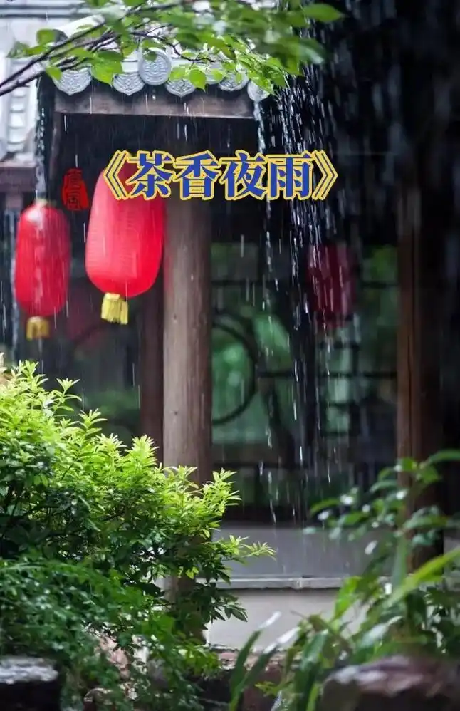 茶香夜雨非常好听完整版分享给大家